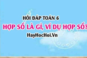 Hợp số là gì? Ví dụ về hợp số? 1 có phải hợp số không? 2 có phải hợp số không? Hỏi đáp Toán lớp 6